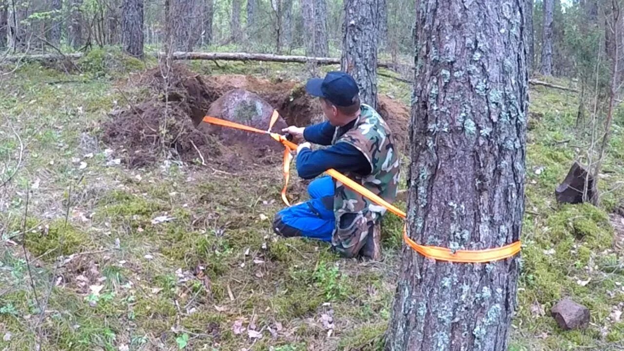 Тайники в лесу. Схрон продуктов. Схрон в лесу. Закладки в лесу. Тайник в лесу.