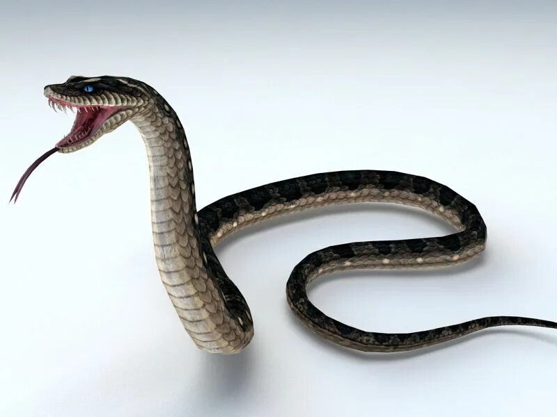 Snake мод. Моделирование змеи 3д Макс. Морской змей 3д модель. Змея неделька. Snake head free 3d model.