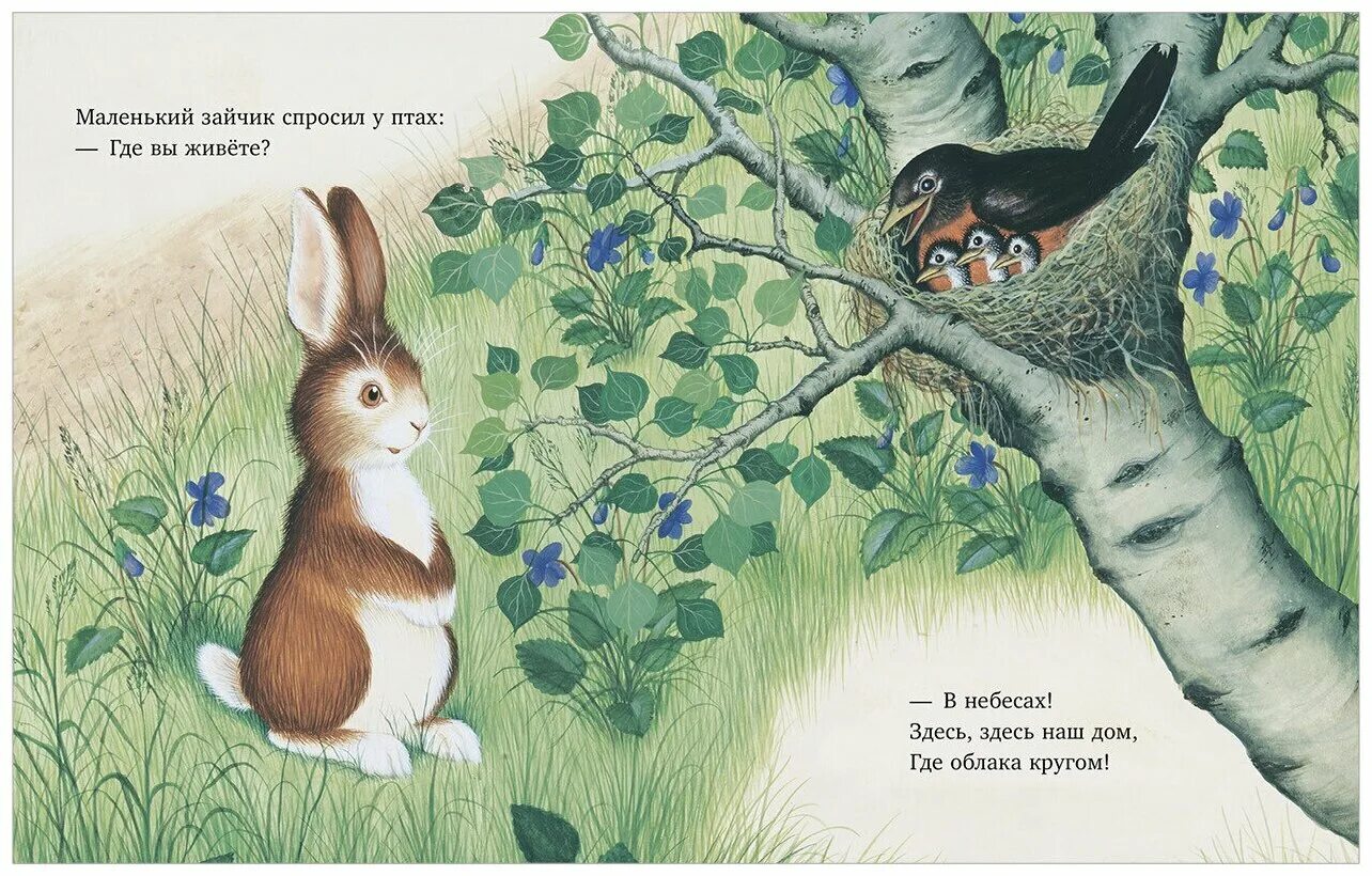 эмоции зайчик книги. найди отличия на двух картинках. найди зайчика на картинке. заяц рисунок. упражнения для развития речевого развития.