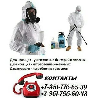 Дезинсекция прайс