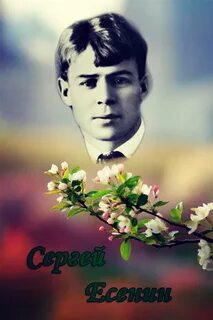 Сережа есенин