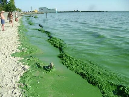 Вода в анапском районе