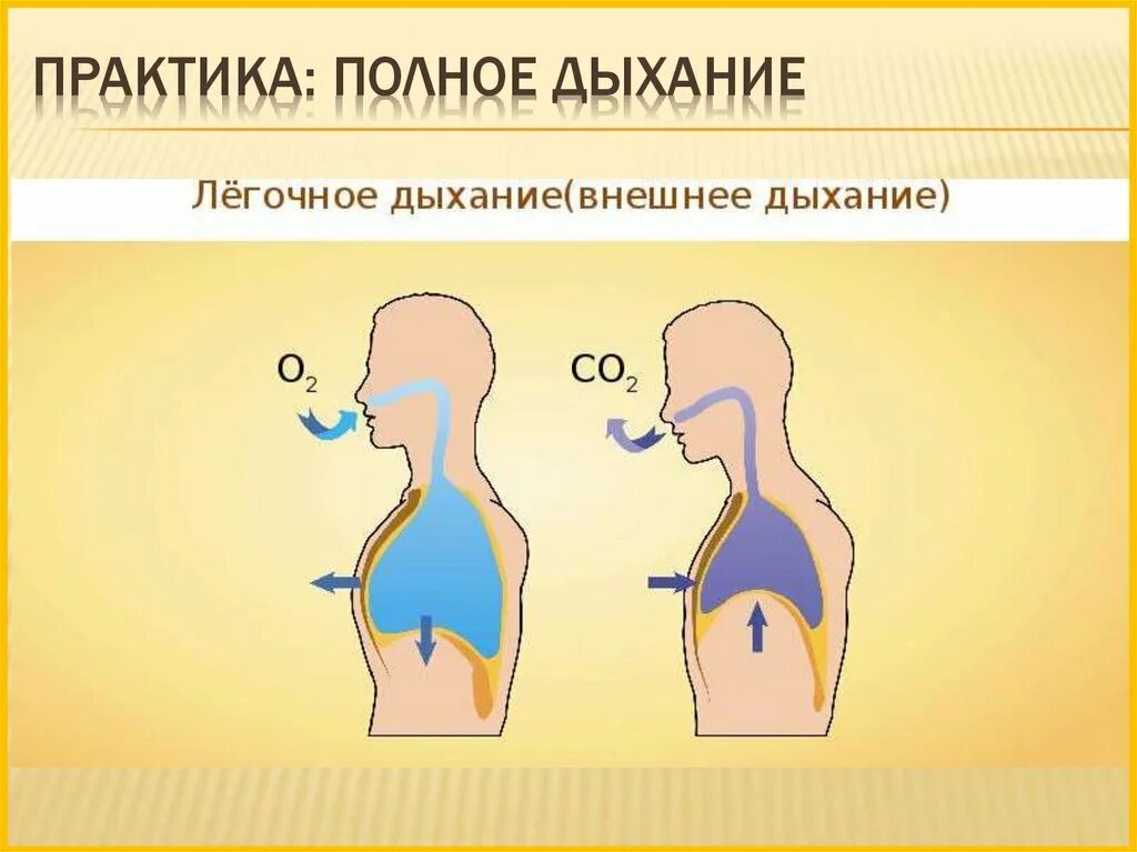 Техника дыхания. Полное дыхание техника. Техника дыхания дыхание. Дыхательная техника «полное дыхание». Диета полного дыхания