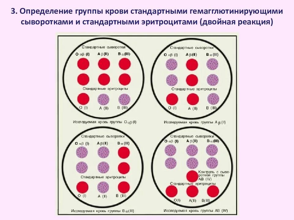 Определение группы крови и резус фактора стандартными сыворотками. Набор стандартных эритроцитов для определения группы крови. Набор стандартных сывороток для определения групп крови. Набор для определения группы крови цоликлонами. Результат определения группы крови