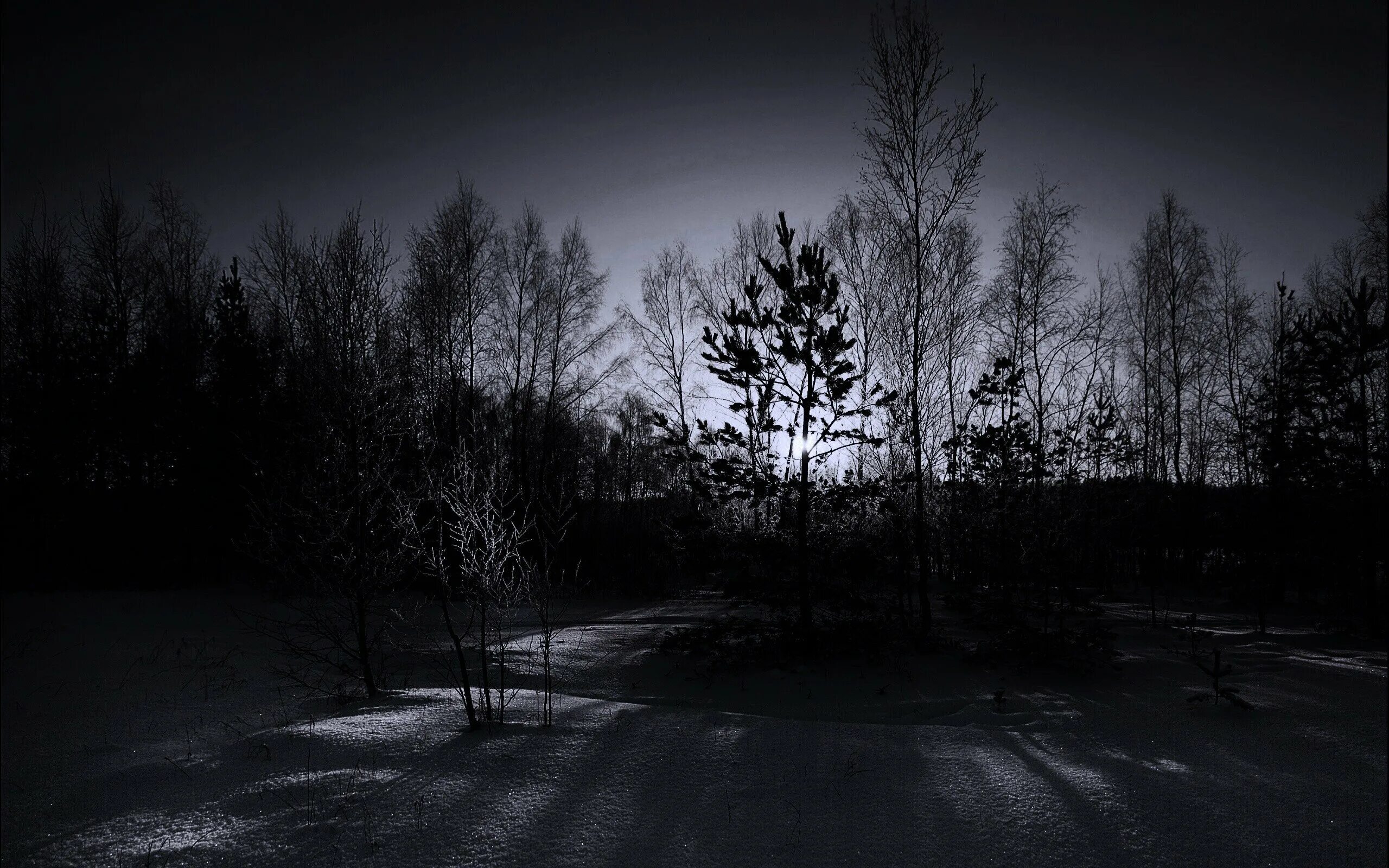 Мрачный снег. Мрачный пейзаж. «Ночь в лесу». Мрачный лес. Ночной лес.
