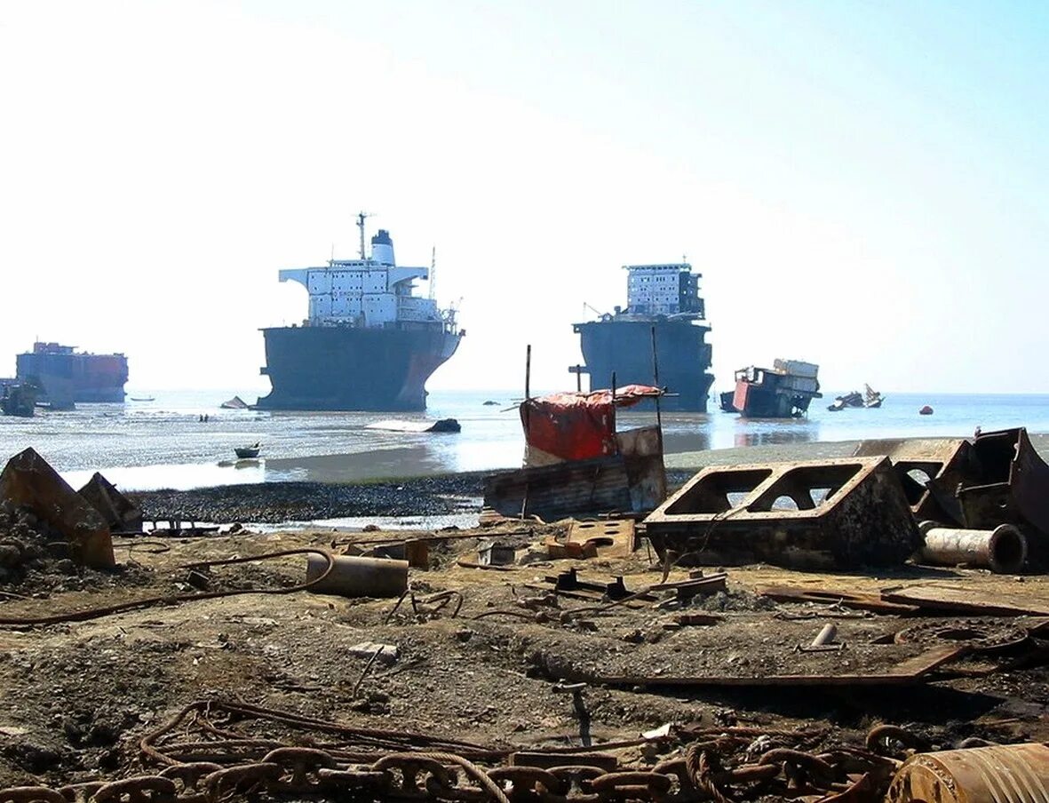 Стих про корабль. Судно скажи где. Балкер матрос кошка. Судно скажи где. Траулер павел кутахов.