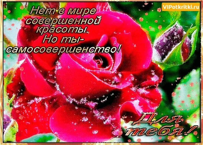 Очарование комплимент