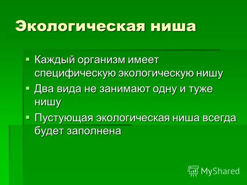 Опишите экологическую нишу для каждого организма. Экологические ниши. Экологические ниши организмов. Понятие экологической ниши. Экологической нишей.