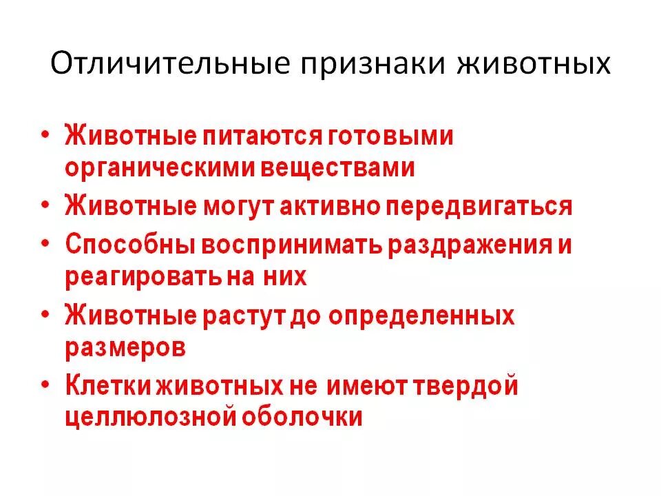 Признаки царства животных. Общие признаки животных в царстве животных. Главные признаки царства животных. Признаки характерные для представителей царства животных. Назовите основные отличительные