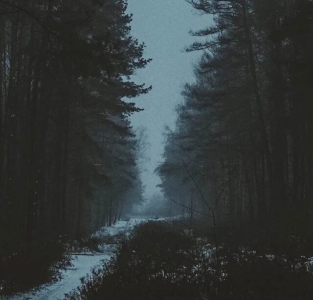 Под пыльным. Под пыльным небом.