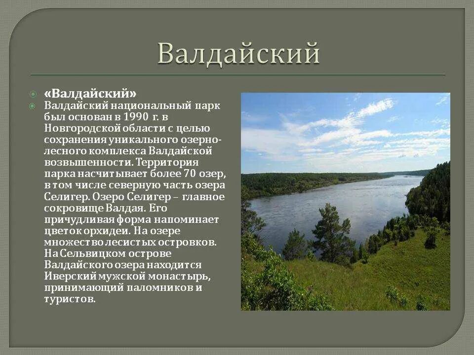 Доклад новгородская область. Валдайская возвышенность заповедник. Валдайская возвышенность Валдай. Новгородская область заповедники Новгородской области. Новгородская область Валдайская возвышенность.