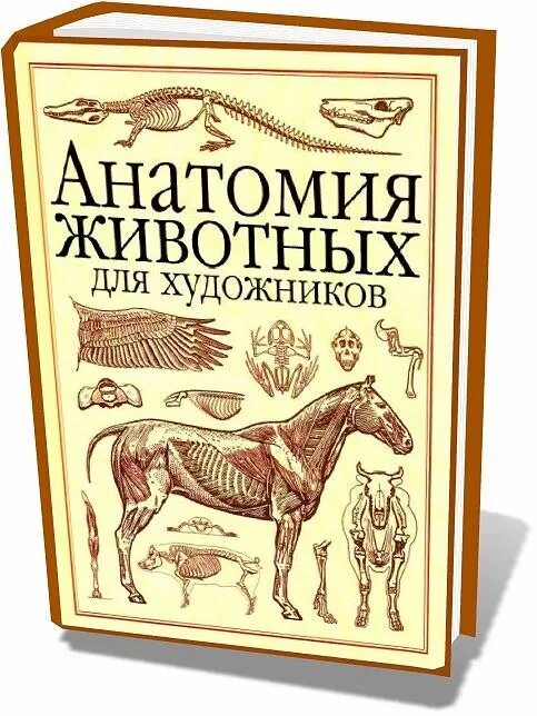Анатомия животных книга акаевский. Анатомия животных книги. Анатомия собаки атлас. Анатомия северного оленя акаевский. Зеленевский, зеленевский: анатомия животных.