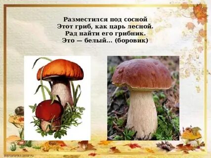 Презентация лес грибы ягоды