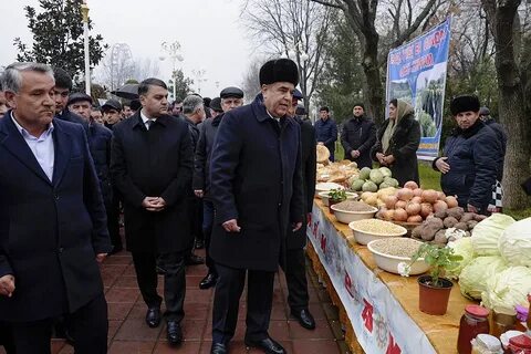 Мехргон