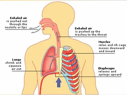 Breathing out