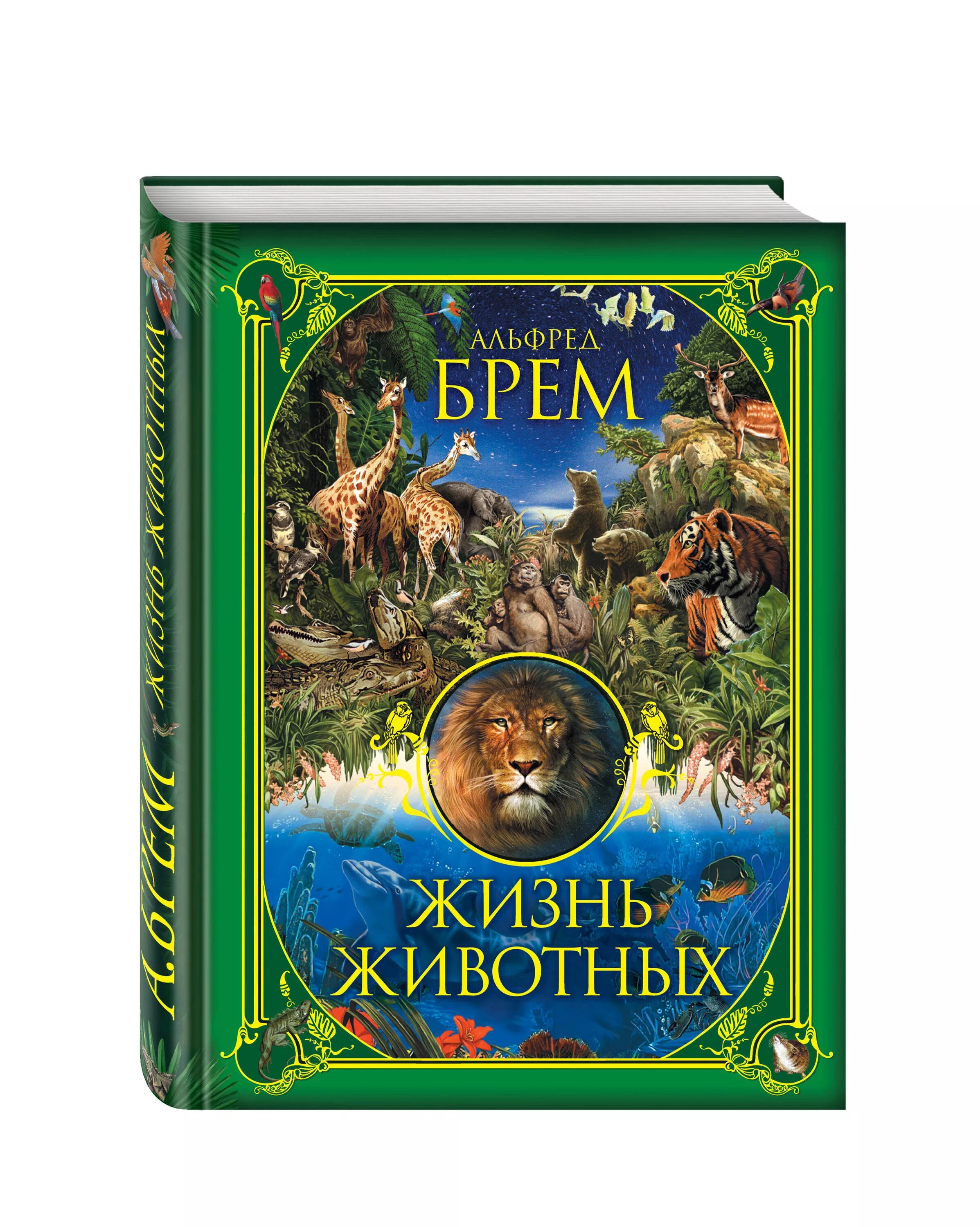 Книга Брэма жизнь животных. Брем жизнь животных в 3 томах.