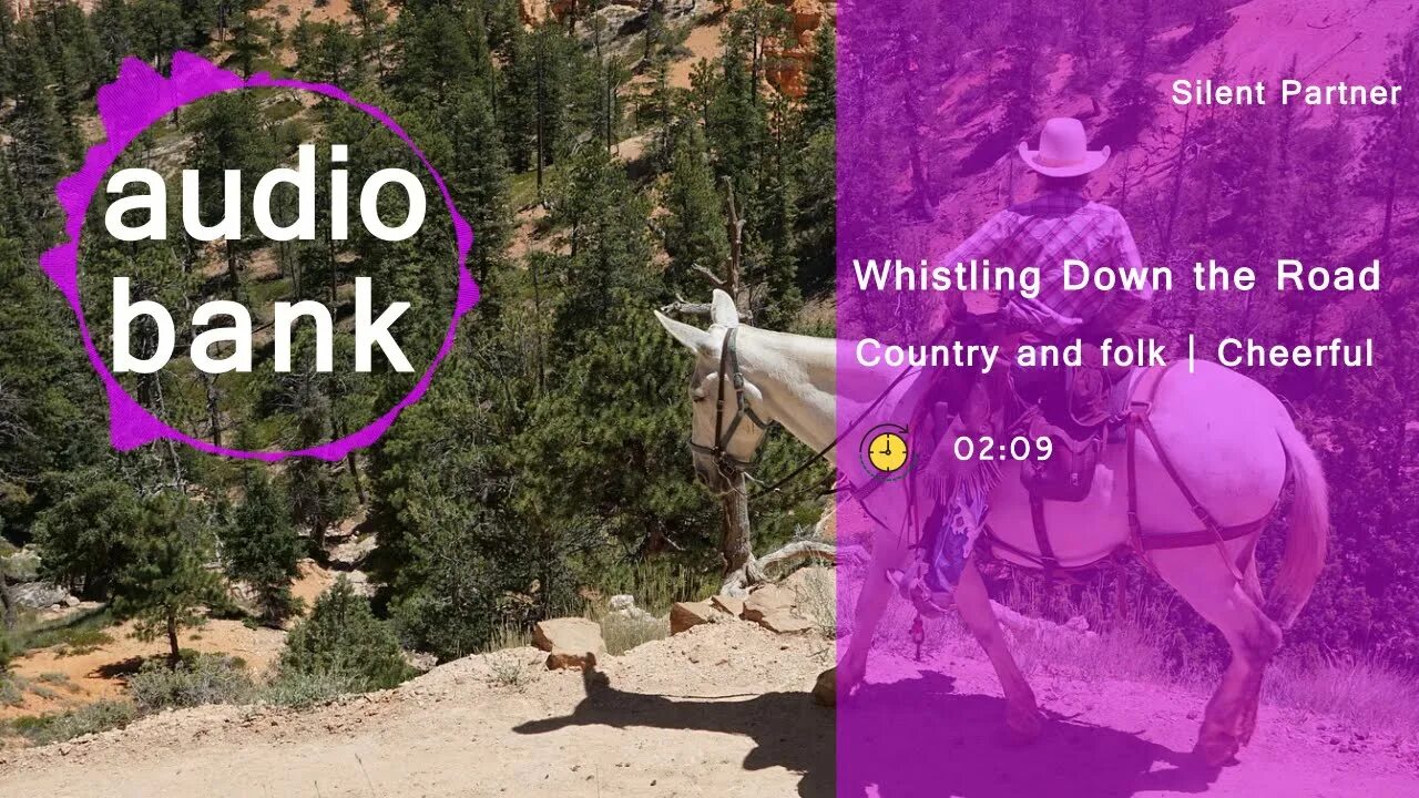 Country partner. Silent partner Whistling down the Road. Silent partner - Days are long. Quiet Road. Silent partner time stops Notes.