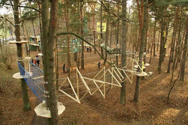 Парк с препятствиями. Препятствия для веревочного парка. Детская площадка в лесу. Веревочная детская площадка. Веревочная площадка в парке.