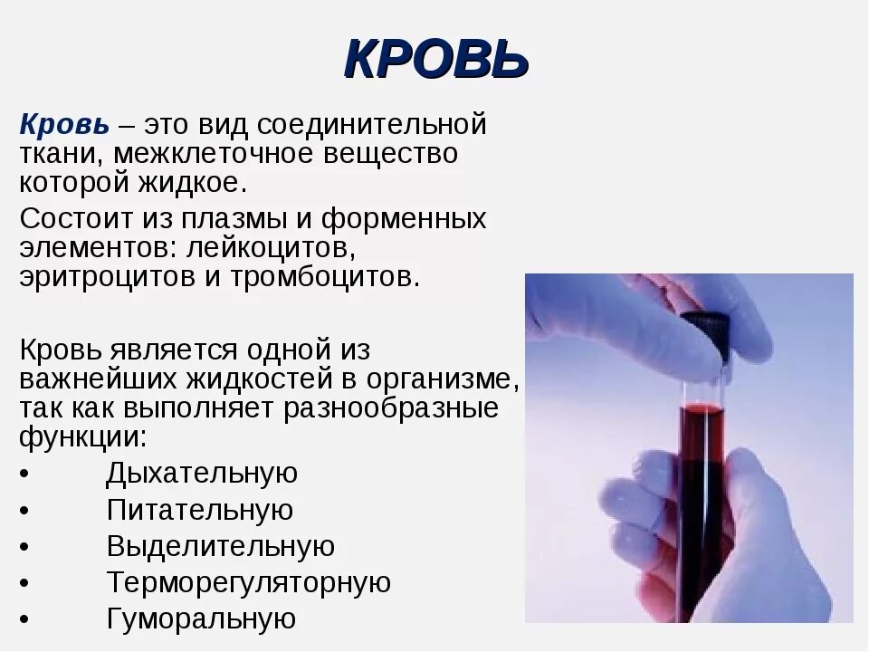 Как с кровью что это. Как с кровью что это