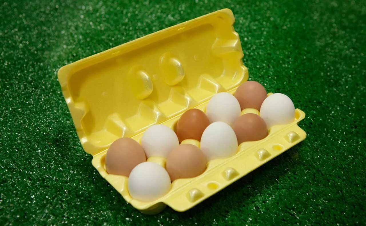 Упаковка для яиц купить. Лоток для яиц. Лоток для яиц пластиковый. Упаковка для яиц. Куриные яйца в лотке.