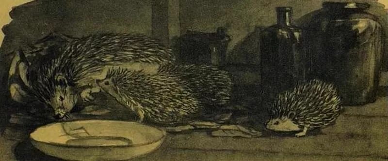 Скребицкий книги. Колючая семейка. Скребицкий книги. Колючая семейка. Скребицкий колючая семейка.