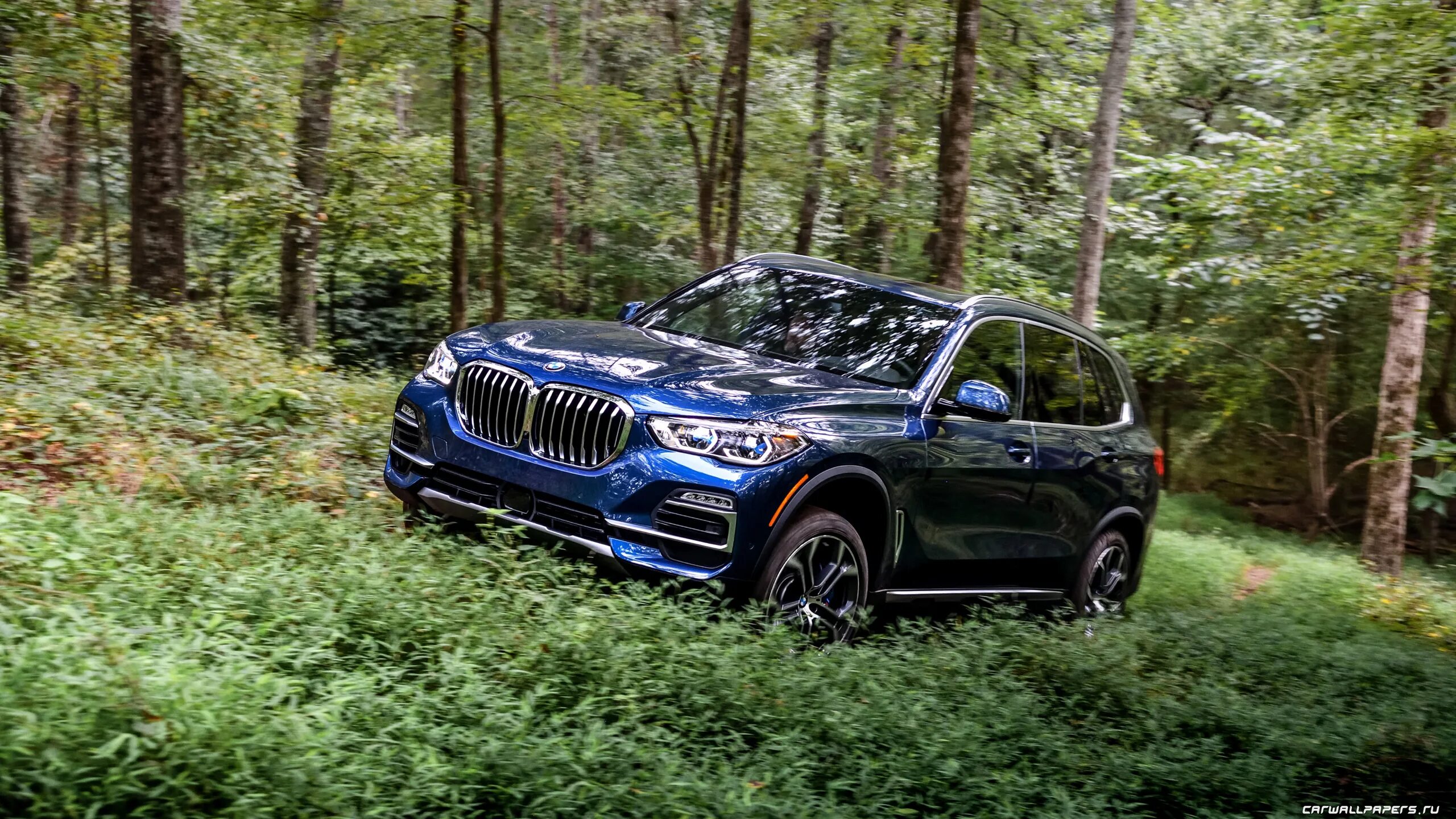 Бмв х5 40i. BMW x5 g05 off Road. BMW x5 xdrive40i XLINE. BMW x5 XDRIVE. BMW x7 g05.