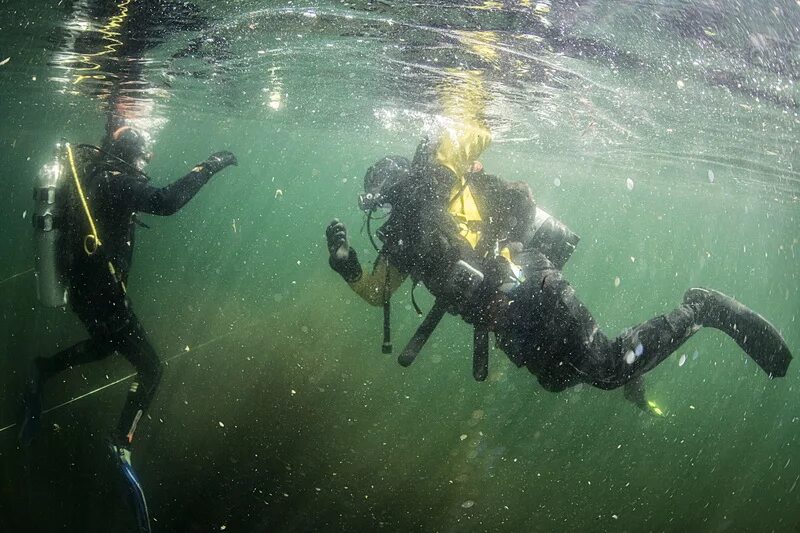 фотограф пинг фан. аквамен атлантида подводный. подводный 2018. раджа-ампат рифы. фридайвинг погружение.