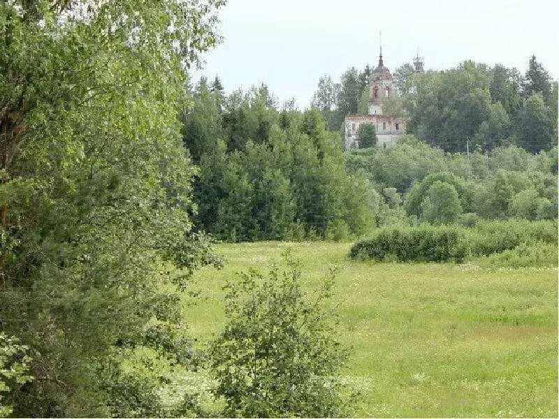 Спас все деревню. Деревня спасс вологодская область.