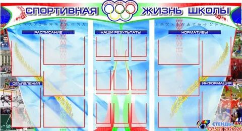 Спортивная жизнь школы