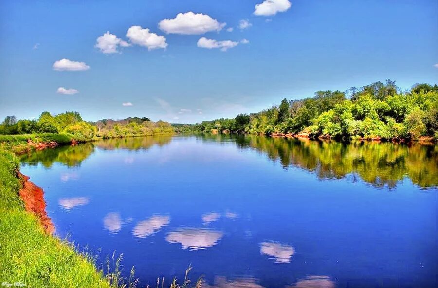 Река клязьма нижегородская область. Река клязьма нижегородская область. Нерль (приток клязьмы). Клязьма википедия. Река клязьма.