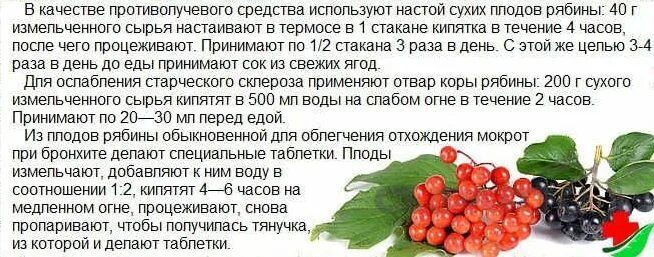 При давлении можно соленое. Рябина повышает давление. Черноплодка понижает давление. Рябина понижает давление. Черноплодная рябина повышает или понижает давление.