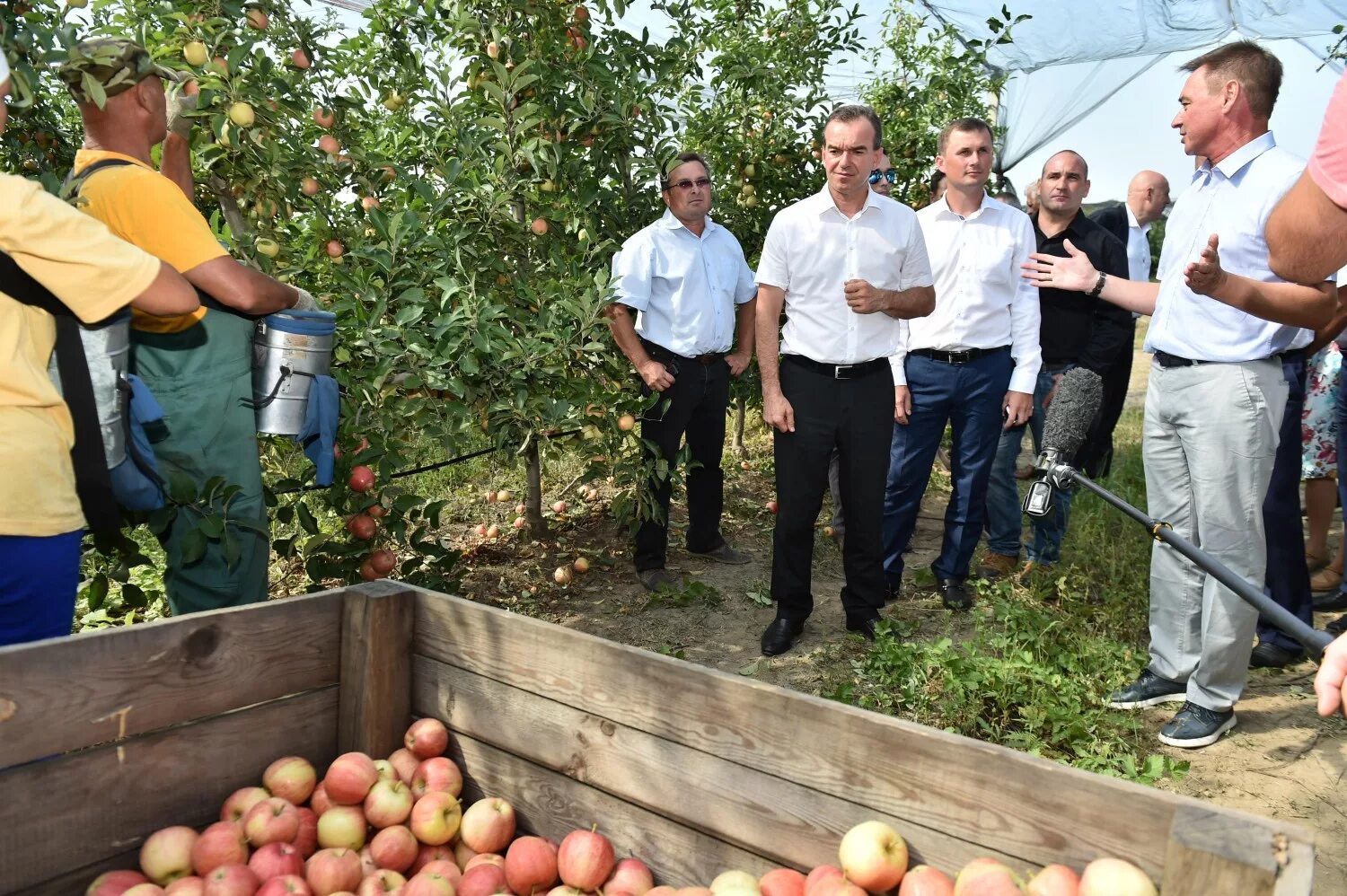 Фермер куропятник брюховецкий района. Кфх краснодарское. Молочная ферма в горячем. Кфх краснодарское. Крупное аграрное предприятие в краснодаре.