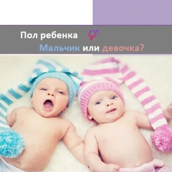 Лучше брать мальчика или девочку. Юю мальчик или девочка. баннер мальчик или девочка. кого ждем мальчика или девочку.