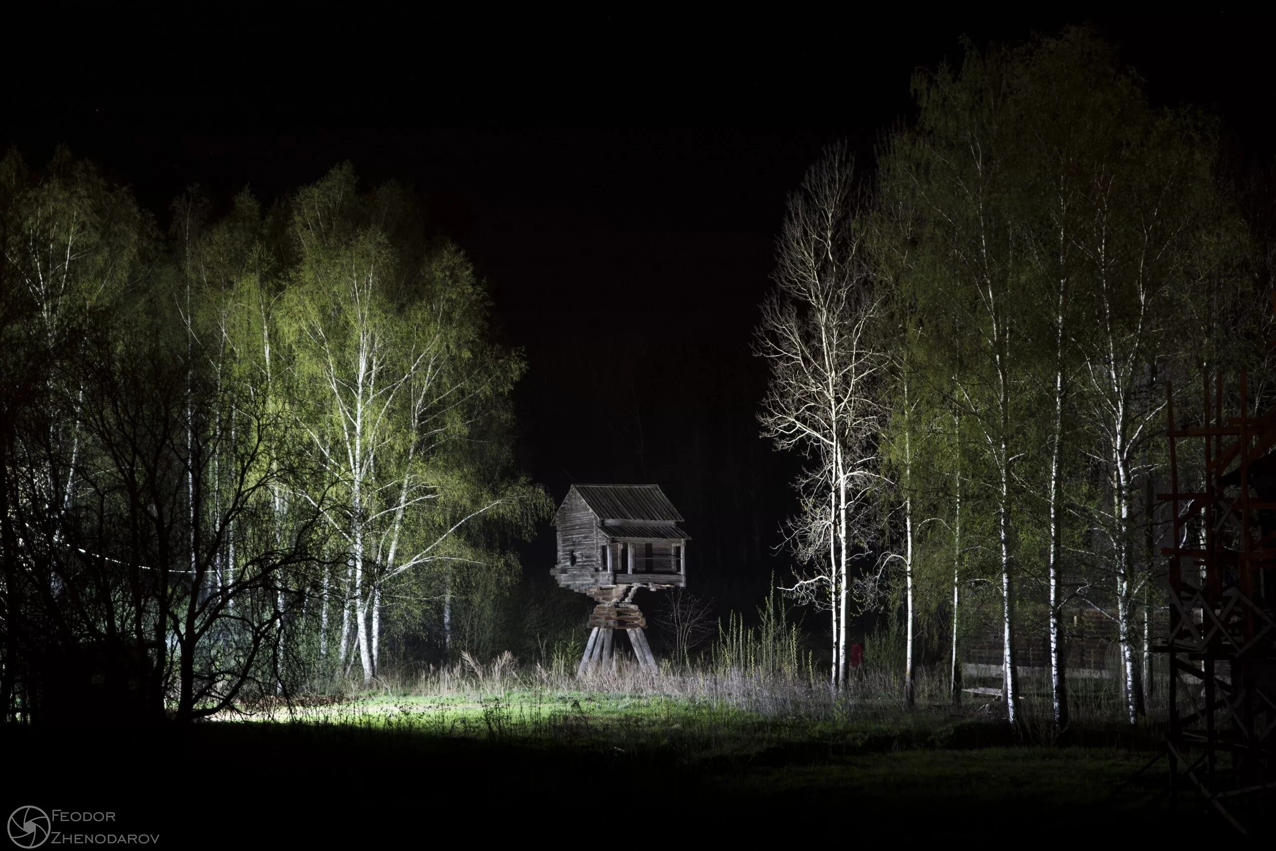 кошмар тёмного леса (2020). дремучий лес и избушка бабы яги. баба яга фильм 2021. домовенок кузя избушка. дремучий лес бабы яги.