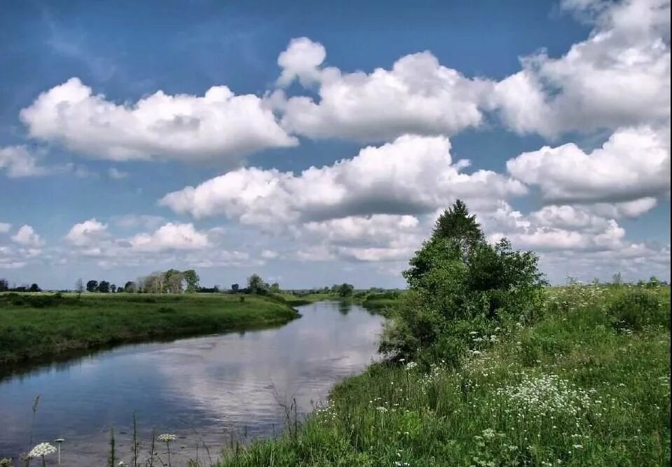 Родной край. Природа родного края. Родной край картинки. Край родной я тебя воспеваю.