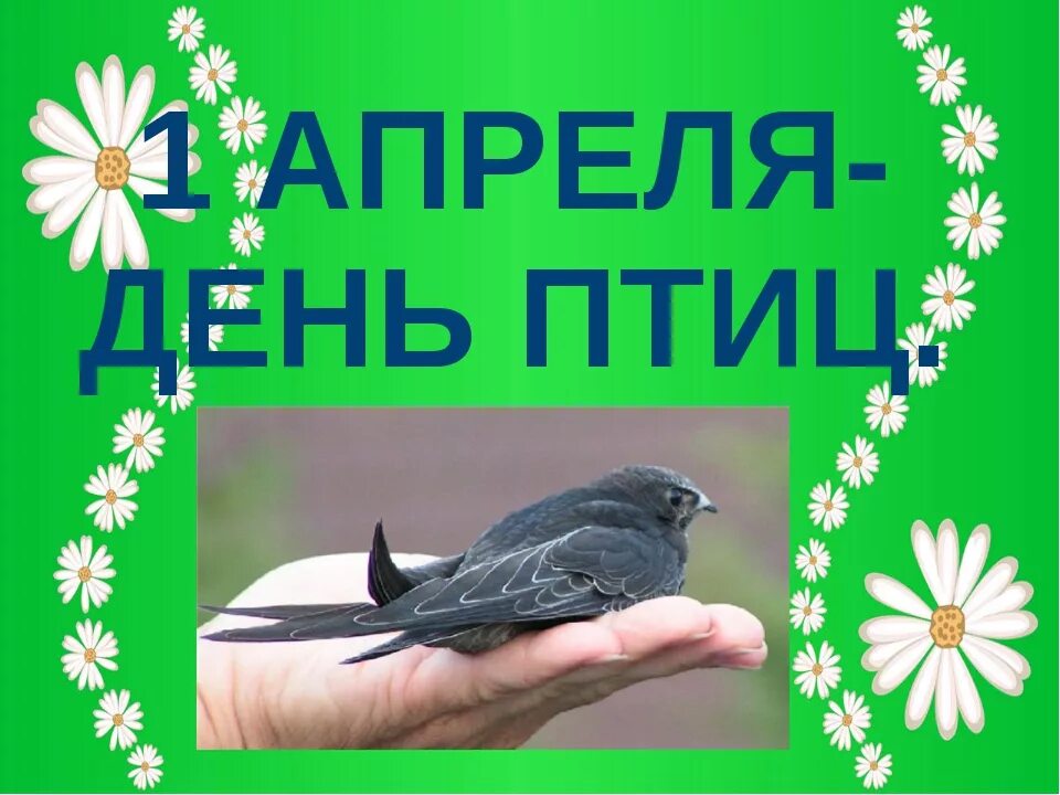 О дне птиц 1 апреля. День птиц. денптицу. 1 апреля день птиц. апрель день птиц.