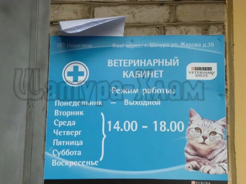 Ветеринарный центр волгоград. Город орел улица московская 104. Ветеринарные услуги. Ветклиника адреса и режим работы. Эмблема ветеринарной клиники.