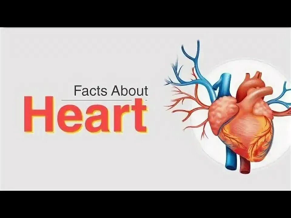 It is a heart of. Byjus сердце. sinoatrial сердце. interesting heart. хьюман сердце бренд.