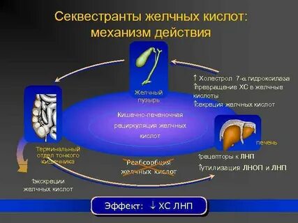 Кислоты механизм действия