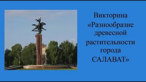 День города салават когда будет