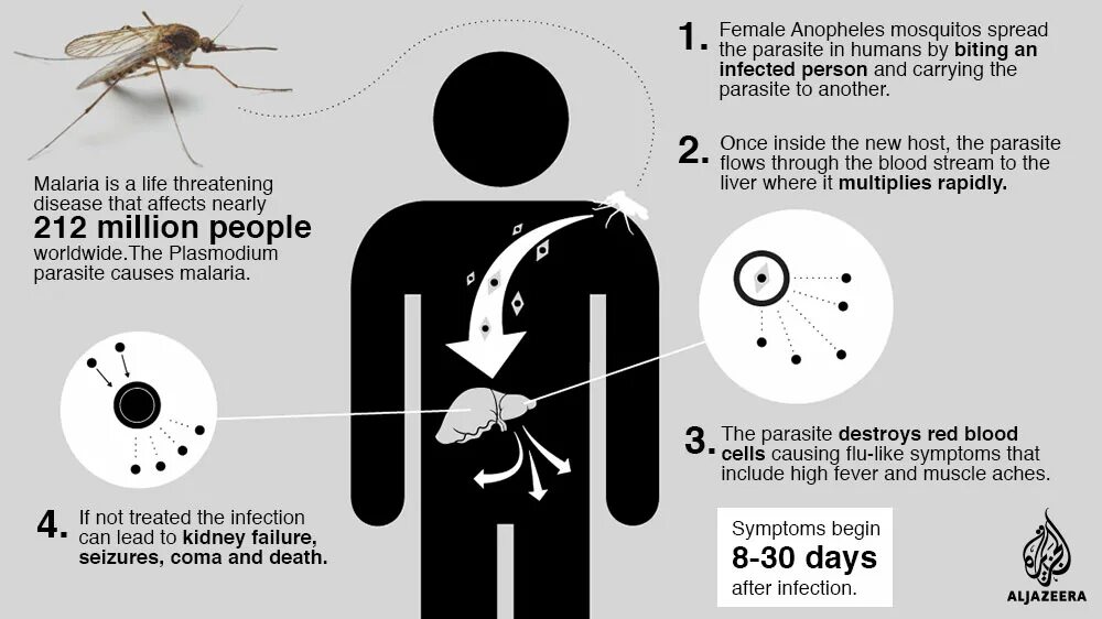 Malaria statistics.