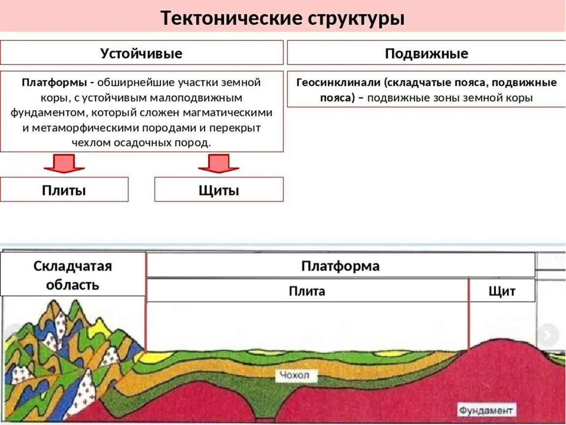 Схема рельеф россии 8 класс. Строение земной коры тектоническая структура. Отличие плиты от платформы. Тектонические структуры схема.