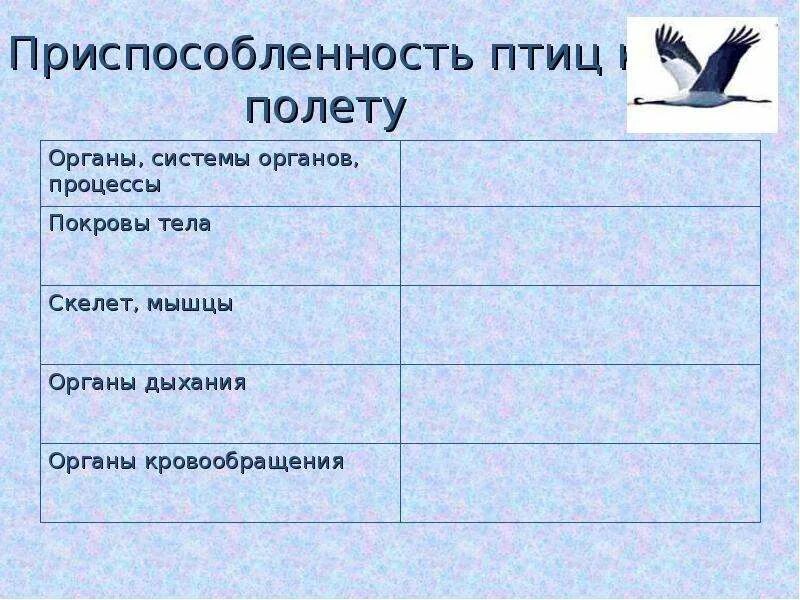 Приспособленность птиц к полету. Приспособления птиц к полету. Приспособление птиц к полету таблица. Черты приспособленности птиц к полету.