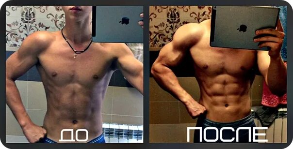 Pin on bodybuilding 101