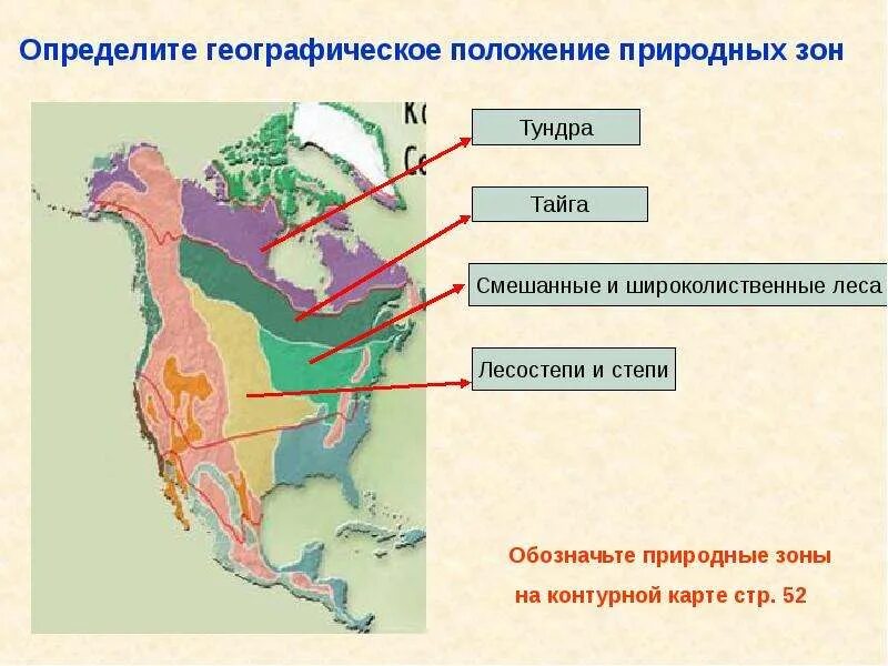 Природная зона презентация 7 класс. Географическое положение природных зон Северной Америки. Природные зоны Северной Америки тундра. Тайга на карте Северной Америки. Географическое положение аридных зон.