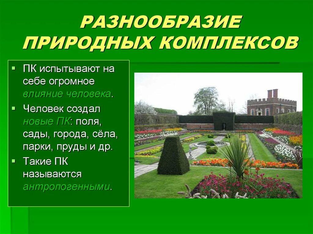 Разнообразие природных комплексов. Разнообразие природных комплексов России. Природные комплексы разнообразие природных комплексов. Природный комплекс города. Чем меньше природный комплекс тем он