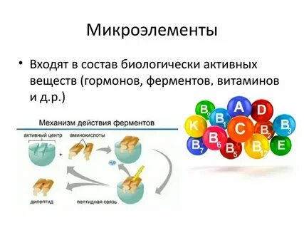 Элемент х является одним из микроэлементов