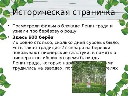 Березовая роща предложения