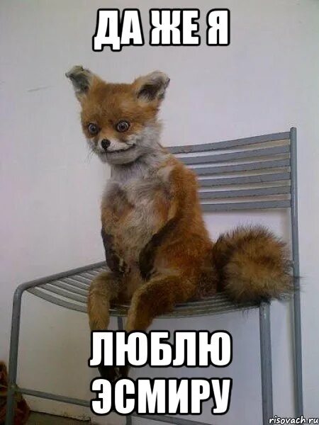 Сколько ждать ответа после