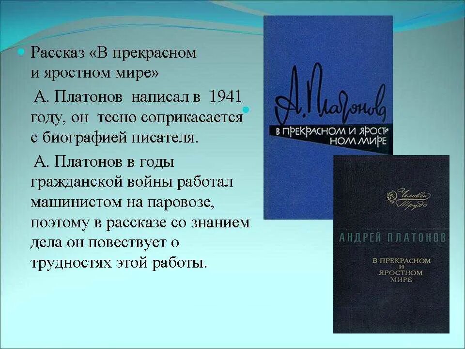 В прекрасном и яростном мире анализ произведения